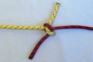 Figuur 14: Oude wijvenknoop - voltooid