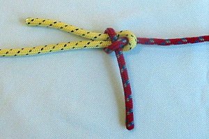 Figuur 9: Linkse schootsteek