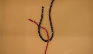 Figuur 10: Werplijnsteek - stap 1